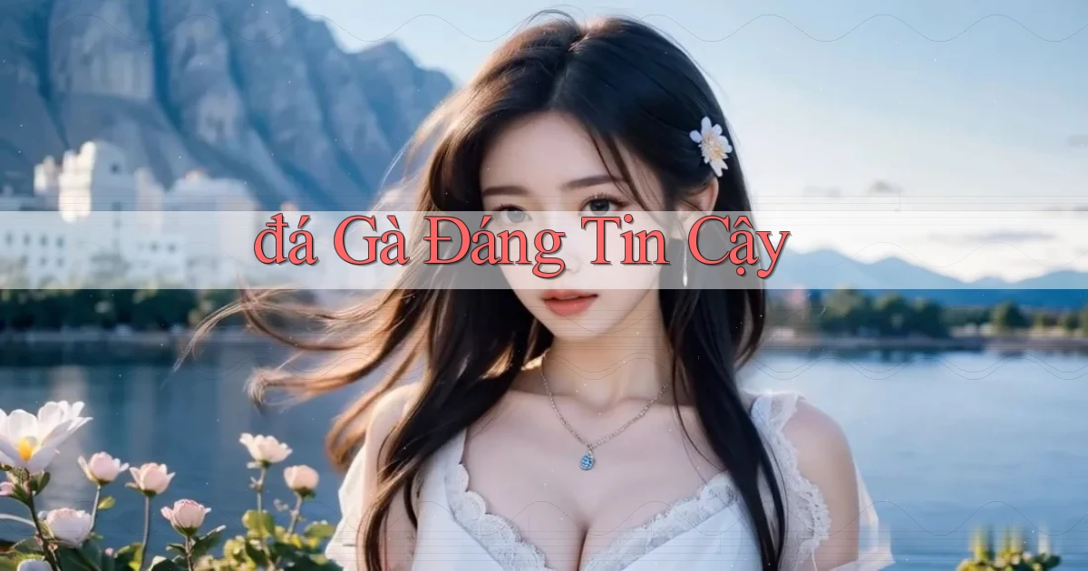 đá gà Đáng tin cậy
