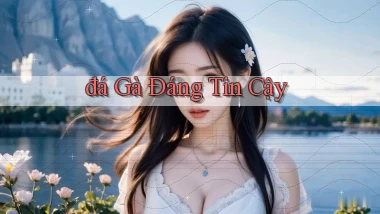 đá gà Đáng tin cậy